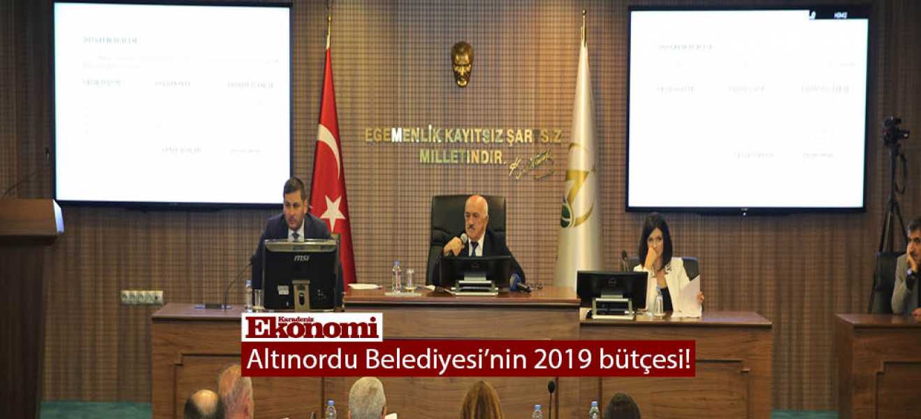 Altınordu Belediyesi'nin 2019 bütçesi!