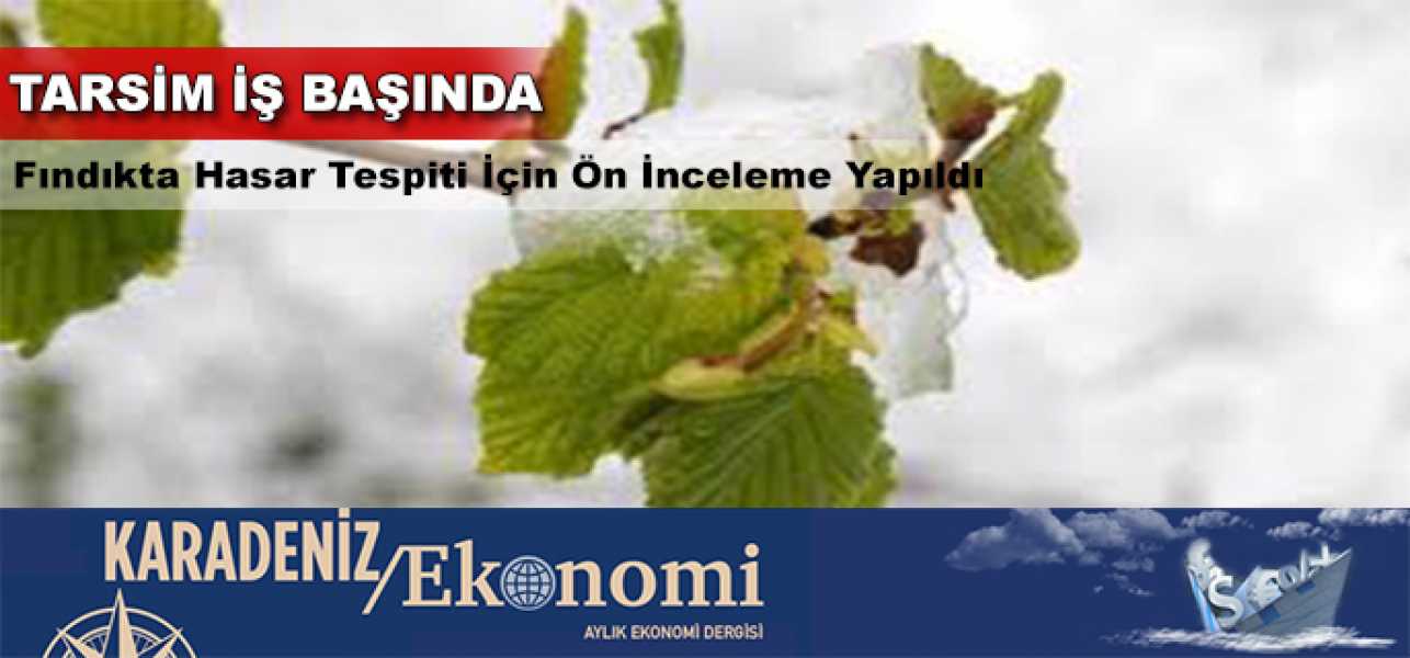 Fındıkta  Hasar Tespiti İçin Ön İnceleme Yapıldı